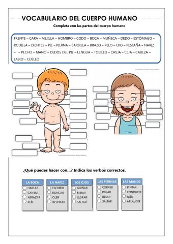 Partes del cuerpo