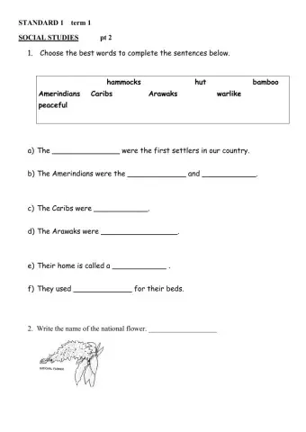 Social Studies Mid term term