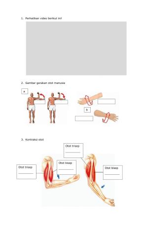 Jaringan Hewan-Manusia