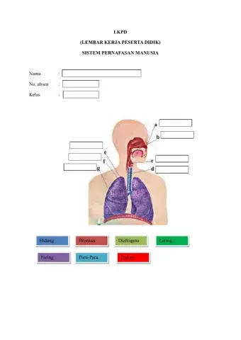 LKPD Sistem Pernafasan Manusia