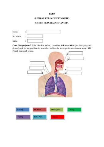 LKPD Sistem Pernafasan Manusia