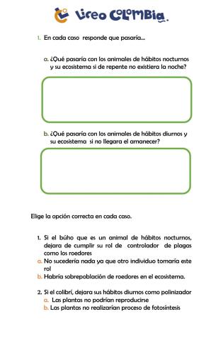 Hábitos diurnos y nocturnos