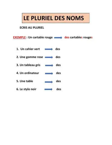 Le pluriel des noms