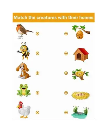 Animals and shelters