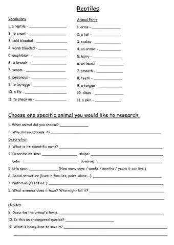 Reptiles, Dina Shterengas