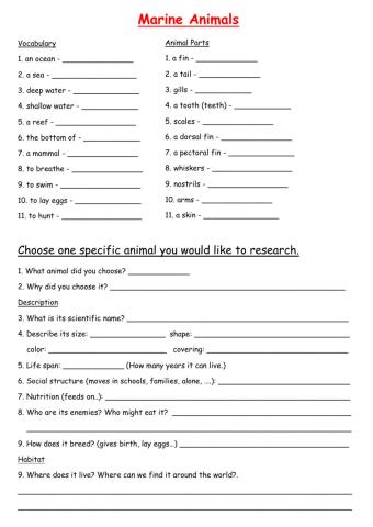 Marine Animals, Dina Shterengas