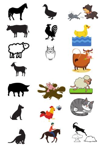 The very busy spider