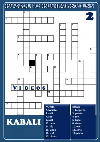 Puzzle plural nouns 2