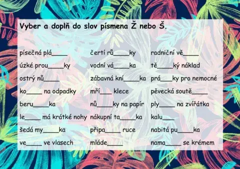 Párové souhlásky Ž-Š