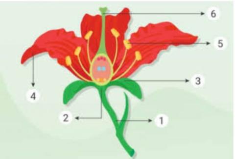 Tema 1 selamatkan makhluk hidup