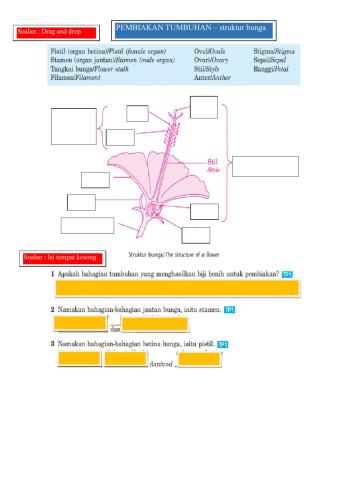 Sains ting 1 -pendebungaan