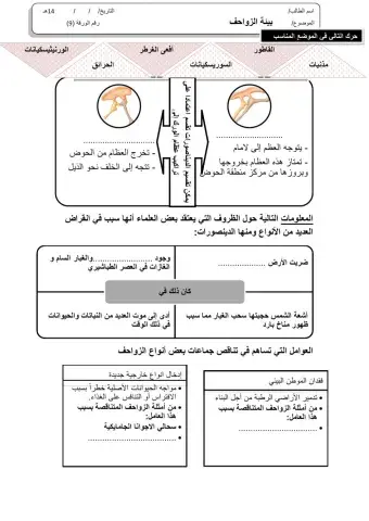 ورقة 9تفاعلية2