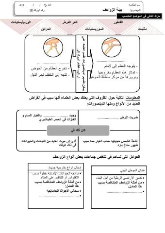 ورقة 9تفاعلية2