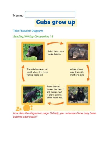 Cubs Grow Up