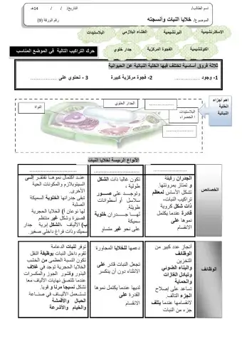ورقة 9تفاعلية3