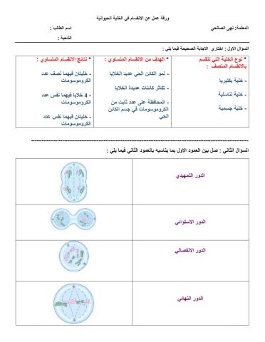 انقسام الخلية