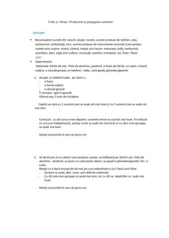 Unde şi vibraţii. Producerea şi propagarea sunetelor