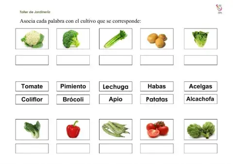 Asociar cultivo-nombre