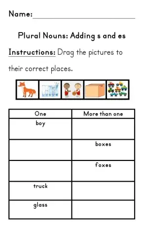 Plural Nouns Adding s and es