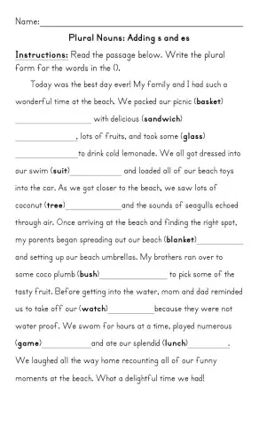 Plural Nouns Adding s and es