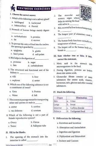 Body organs lesson  20GHSS MANIYANOOR