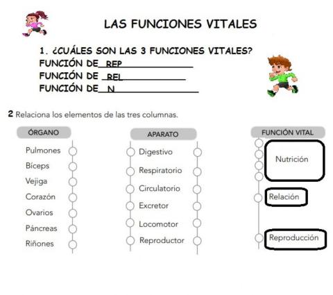 Funciones vitales