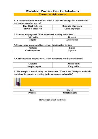 Proteins, Fats, Carbohydrates
