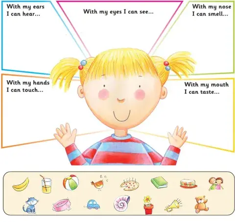 Five senses: classify