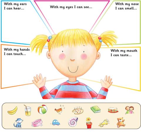 Five senses: classify