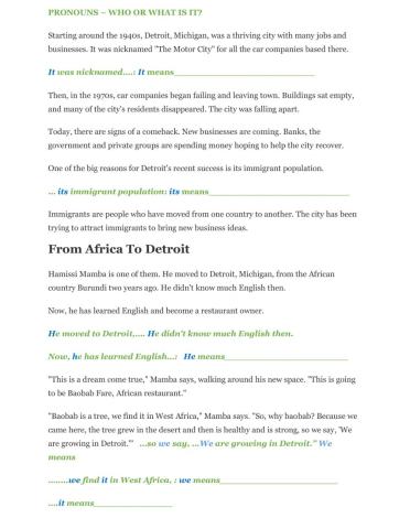 Pronouns -Immigrants Help Detroit