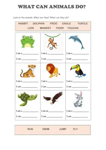 What can animals do?