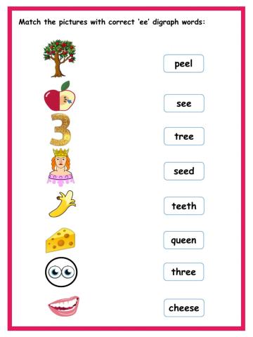 Activity ee digraph DAY 2