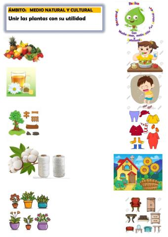 Plantas y su utilidad