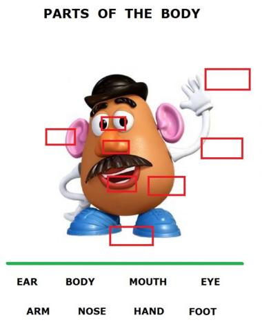 PARTS OF THE BODY-MR POTATOE