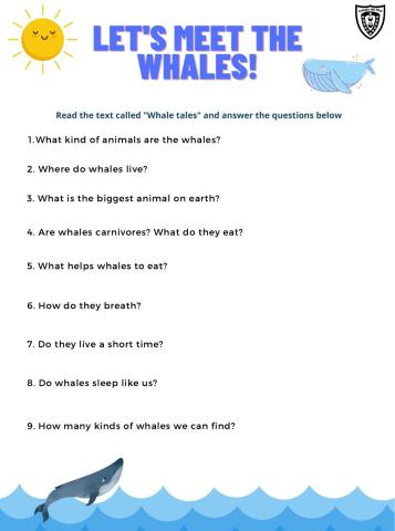 Let's meet the whales!