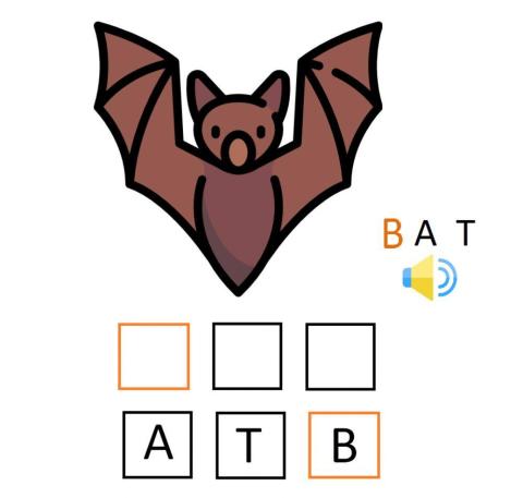 Bat