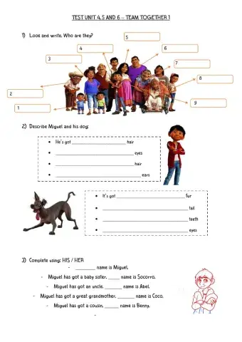 Test units 4 5 and 6