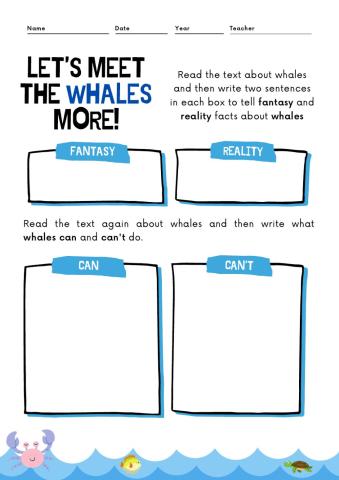 08.10 - Let's know more the whales