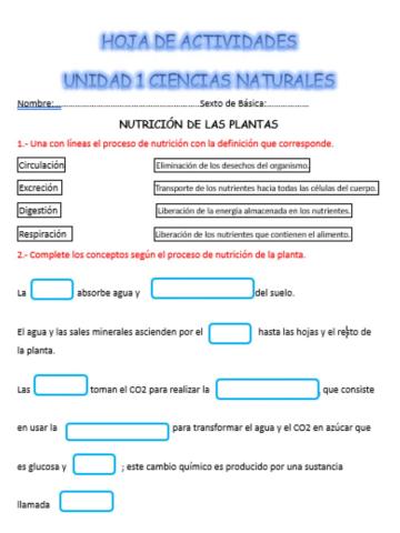 Nutrición de las plantas