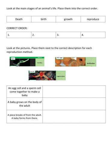 Life stages and reproduction of living things