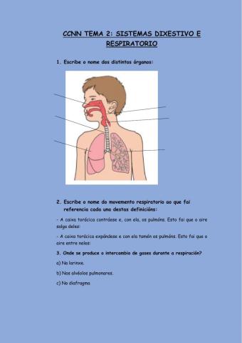 Aparello respiratorio