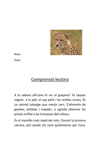 El guepard
