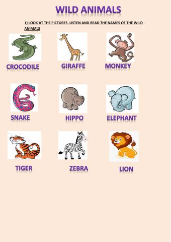 Wild Animals
