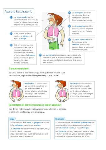 Aparato Respiratorio