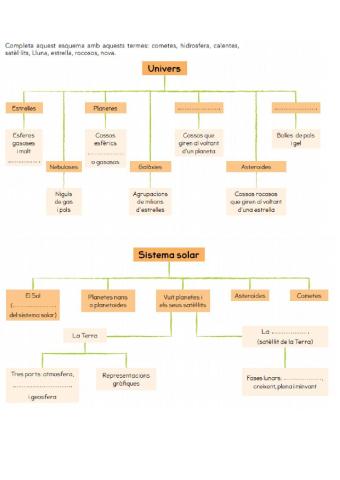 Mapa conceptual T.1 Socials