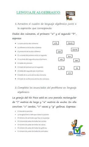 Lenguaje algebraico