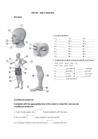 Solutions -Unit 3 -Intermediate