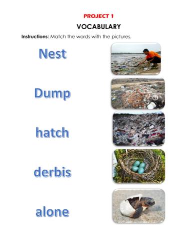 Vocabulary proyect 1
