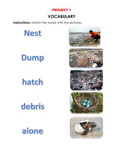 Vocabulary proyect 1