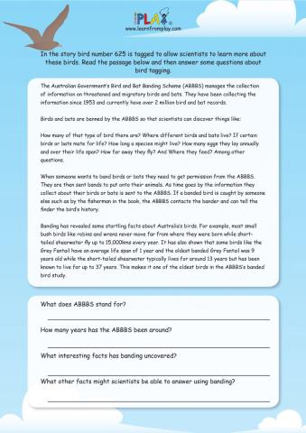 Windcatcher - Bird Tagging